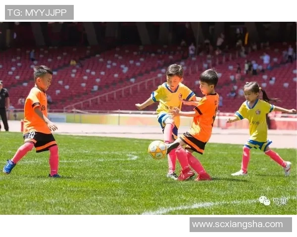 阿尔艾利与艾斯迪格纳的精彩对决展现足球魅力与团队精神