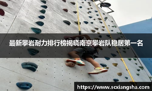最新攀岩耐力排行榜揭晓南京攀岩队稳居第一名