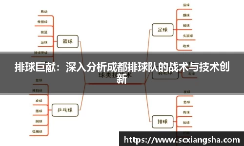 排球巨献：深入分析成都排球队的战术与技术创新