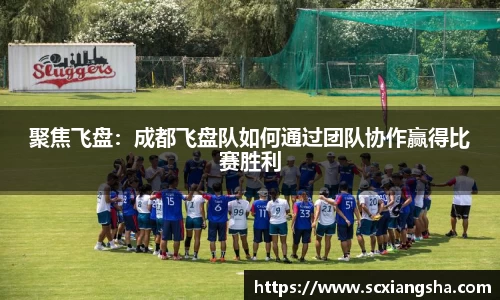 聚焦飞盘：成都飞盘队如何通过团队协作赢得比赛胜利