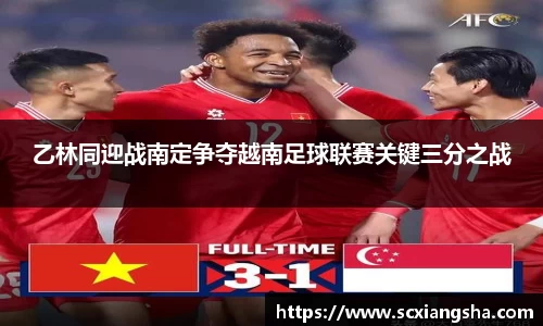 乙林同迎战南定争夺越南足球联赛关键三分之战